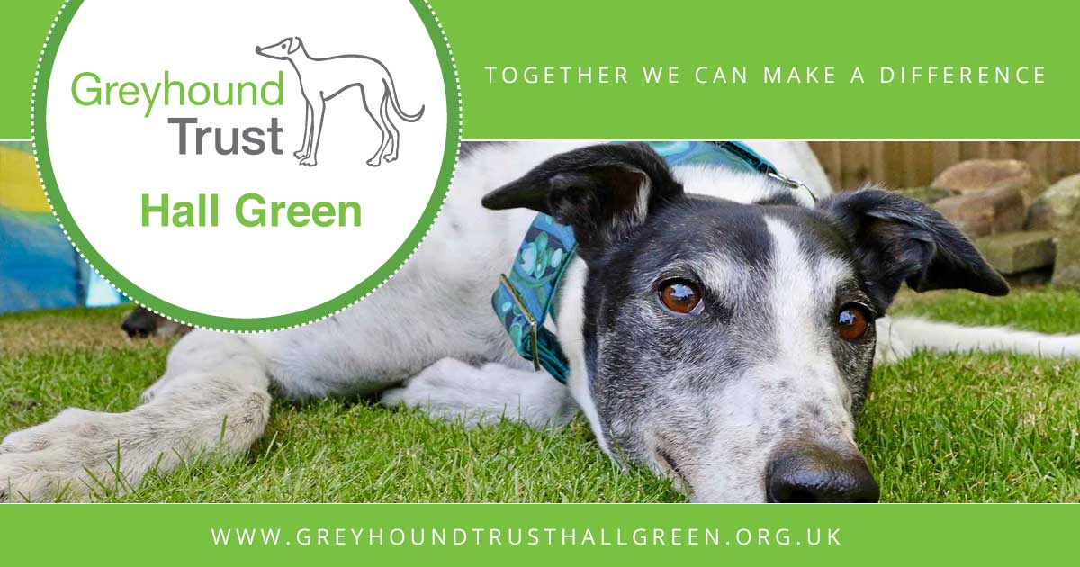 east midlands greyhound trust