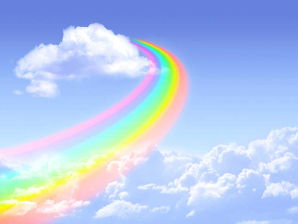 Greyhound Trust Hall Green rainbow bridge stories of your beloved pets