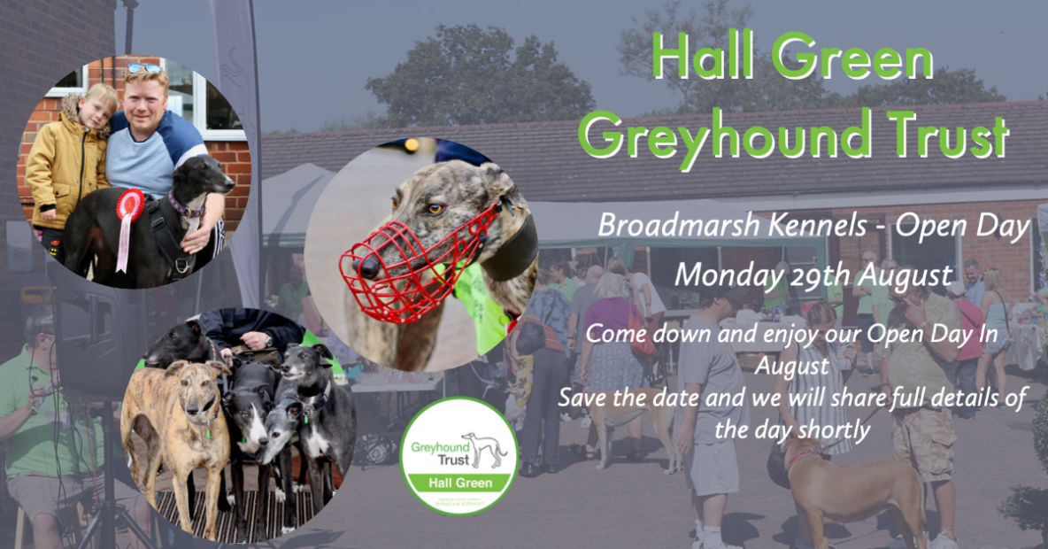 Broadmarsh Open Day Greyhound Trust Hall Green